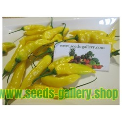 Semillas de Chile Lemon Drop (Capsicum baccatum)