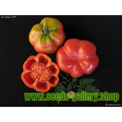 Montserrat Tomato Seeds