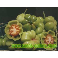 Montserrat Tomato Seeds