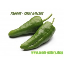 Chilli Pepper Seeds PADRON