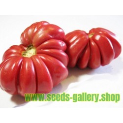 Pink Accordion Tomato Seeds
