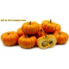 Price: €2 - Graines de Courge JACK BE LITTLE - Seeds Gallery