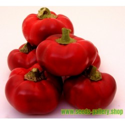 Semillas de pimienta-dulce-roja ROTUND