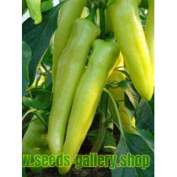 Sweet Pepper Seeds ECSTASY