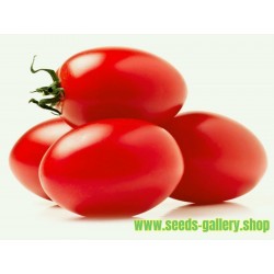 Semillas de Tomate “Zomok”