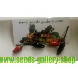 Orozco Chilli Pepper Seeds