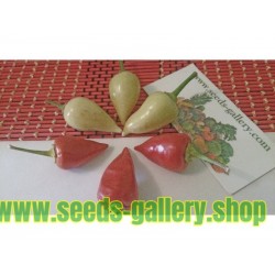 White Chili Seeds SPEAR