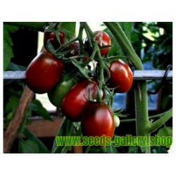 Black Plum Tomato Seeds