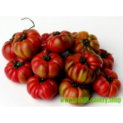 COSTOLUTO GENOVESE Tomato Seeds