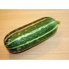 Marrow Long Green Bush Courgette Seeds | €2.10