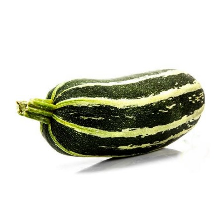 Marrow Long Green Bush Courgette Seeds | €2.10