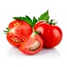 Moneymaker Tomato seeds | 1,50 €