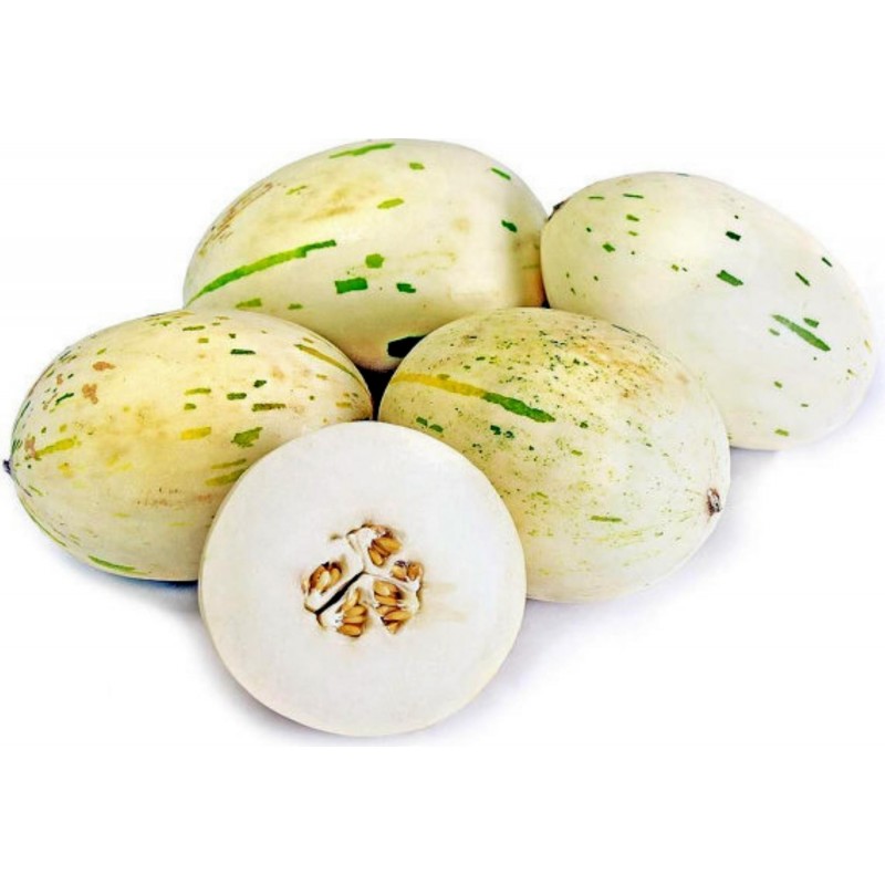 SNOW LEOPARD Melon Seeds - VERY RARE | €2.00