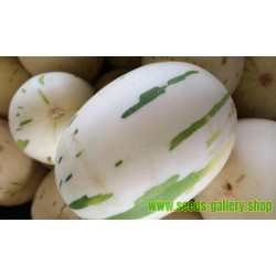 Semillas de melón blanco SNOW LEOPARD - MUY RARO
