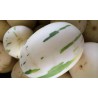 SNOW LEOPARD Melon Seeds - VERY RARE | €2.00