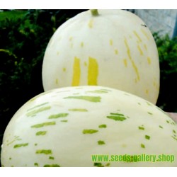 SNOW LEOPARD Melonen Samen - SEHR SELTEN