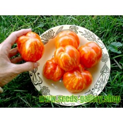 Sementes de Tomate STRIPED STUFFER