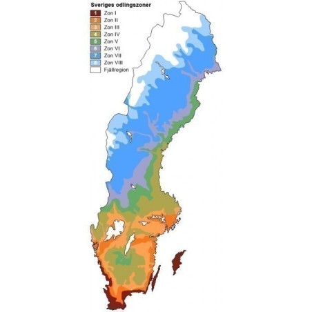 Zone de rusticité | 0,00 €