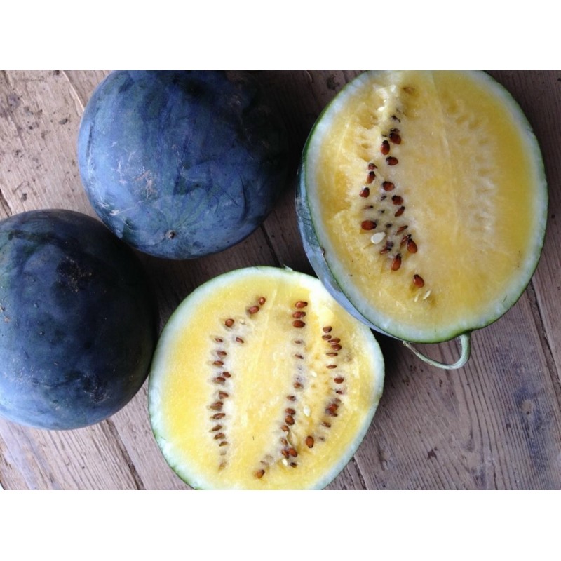 Vattenmelon Frön JANOSIK | 2,15 €