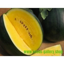 Yellow Watermelon Seeds JANOSIK