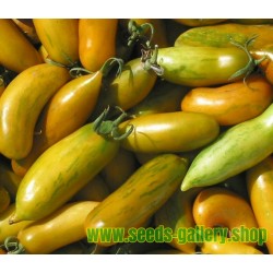 Green Sausage Tomato Seeds