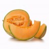 Hales Best Jumbo Melon Seeds