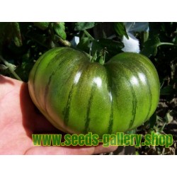 ARBUZNYI Big Green Tomatensamen
