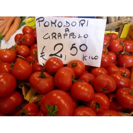 Sementes de tomate GRAPPOLO | 2,25 €