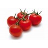 Tomato Seed GRAPPOLO