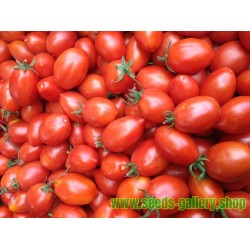 FIASCHETTO Tomato Seeds