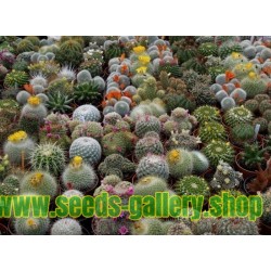 Lista av kaktusar arter i rödlistan över hotade arter