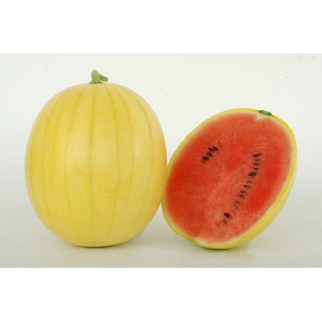 Semi Di Anguria Giallo Pelle | 2,50 €