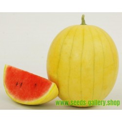 Gelbe Haut Wassermelone Samen