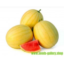 Yellow Skin Watermelon Seeds