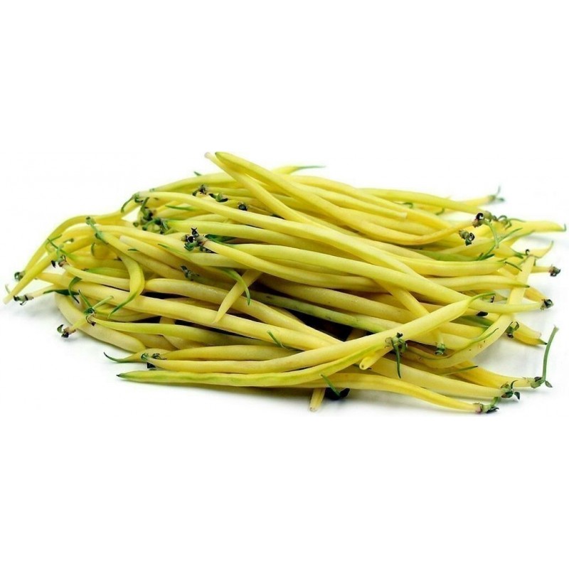 Graines de Haricot Nain Beurre BERGGOLD | 1,85 €