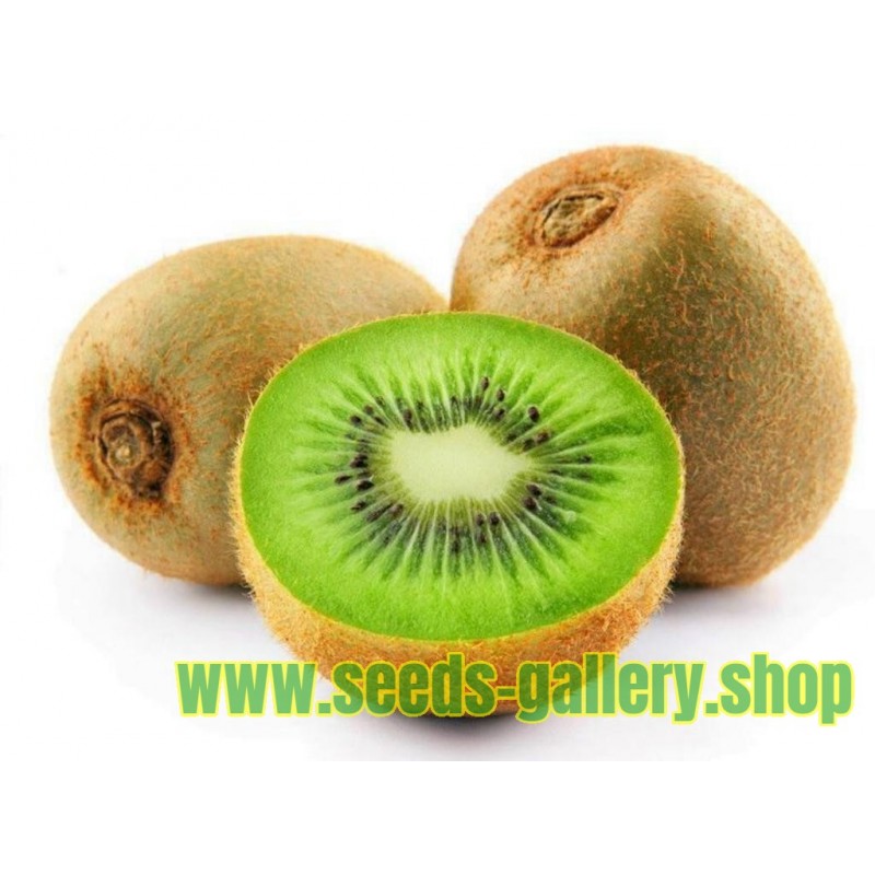Giant Kiwifruit Seeds