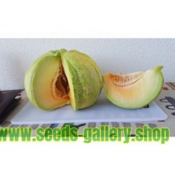 Greece Melon - Green Banana Seeds