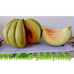 Greece Melon - Green Banana Seeds
