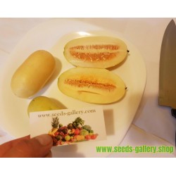 Semillas de melón india KACHRA (Cucumis callosus)