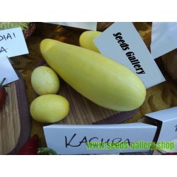 KACHRA Cucumis callosus Samen indische Melone