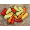 Hot Chilli Pepper Seeds SANTA FE GRANDE - GUERO | 1,55 €
