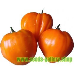 Semillas de tomate GERMAN ORANGE STRAWBERRY