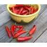 Price: €1.75 - Graines de Piments forts ONZA - Seeds Gallery - 3