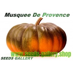 Sementes de Abóbora Musquée de Provence ou Moscata de Provenza