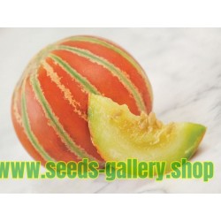 Rari - Semi di melone KAJARI