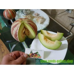 Semillas de melon KAJARI