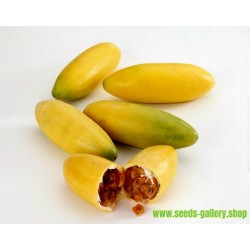 Banana Passionfruit Seeds - Curuba