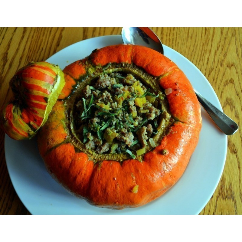 Turban bundeva – tikva seme | 1,95 €