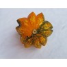 Ornamental gourd Seeds DAISY | €2.05