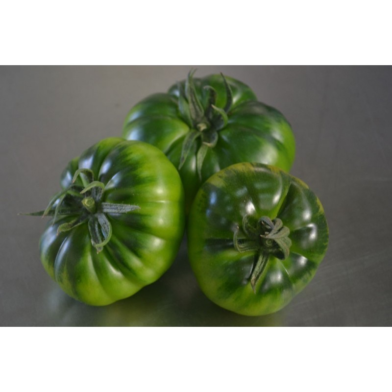 Semillas de tomate sic. Costoluto Pachino | 1,95 €